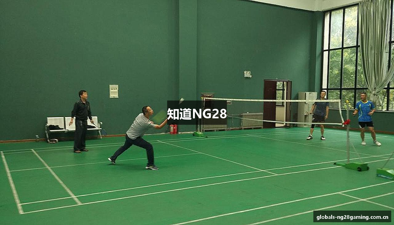 知道NG28